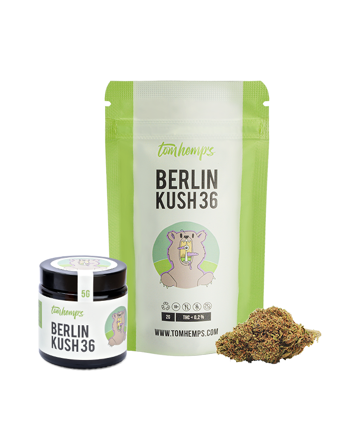 Berlin Kush 36