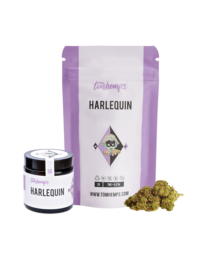 Harlequin
