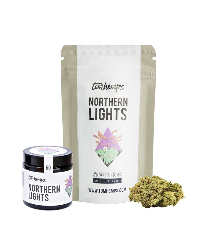 Northern Lights