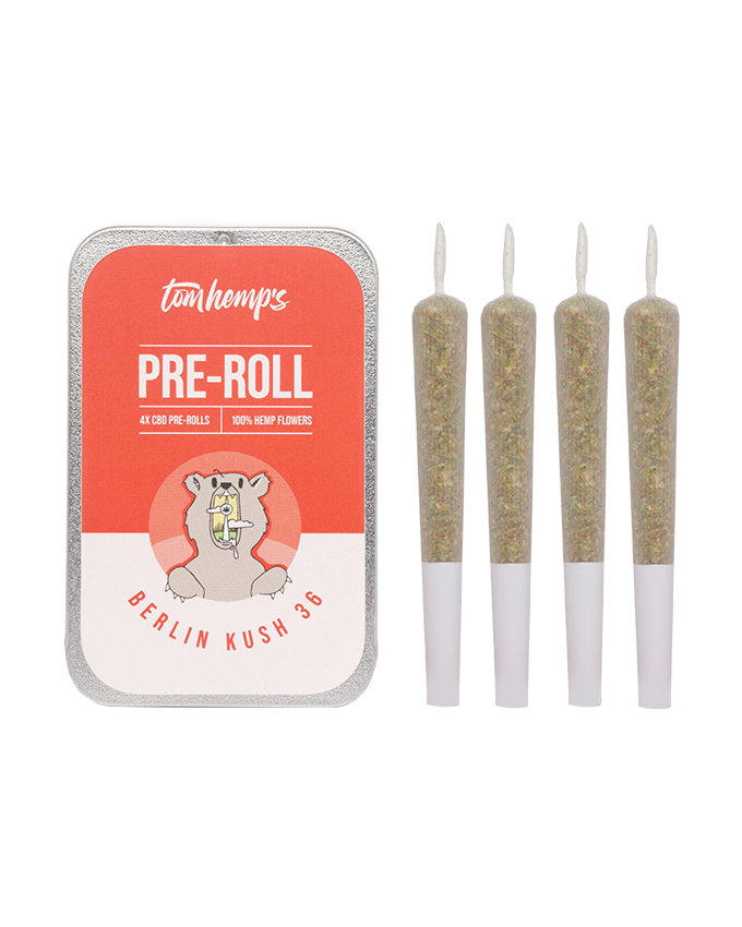 Berliner Kush 36 Pre-Roll 4er