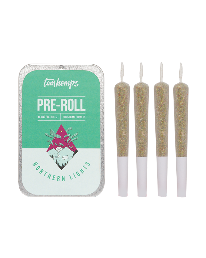 Northern Lights Pre-Roll 4er