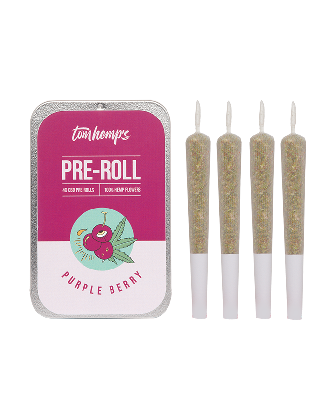 Purple Berry Pre-Roll 4er